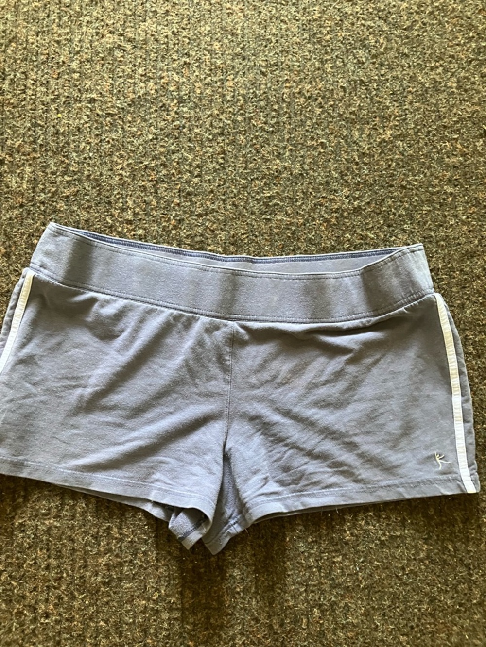 Danskin Light Blue Athletic Shorts with White Side Stripe